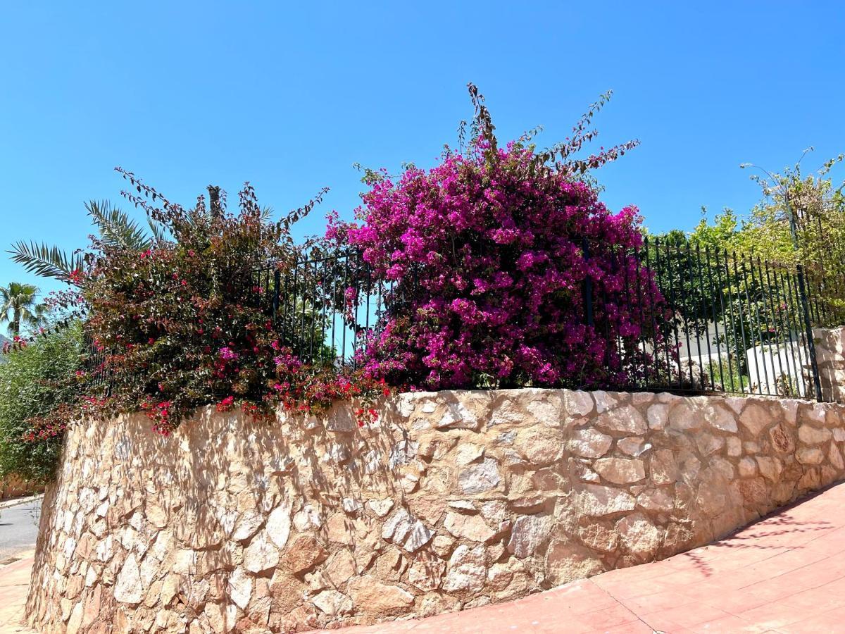 Apartment Sea Breeze - Apartamento Brisas Del Mar ベナルマデナ エクステリア 写真
